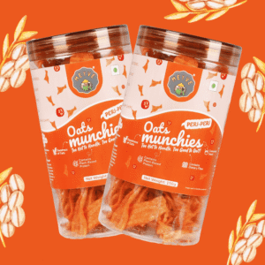 Oats Munchies (Pack of 2)